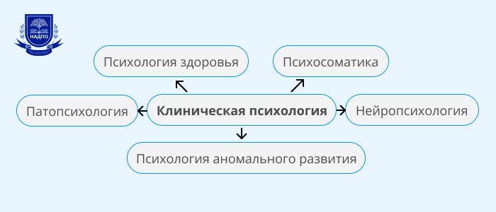 Укрепление душевного здоровья и баланс в браке - эффективные способы и ключевые принципы